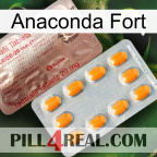 Anaconda Strong new13